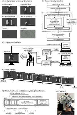 Effects of avatar shape and motion on mirror neuron system activity